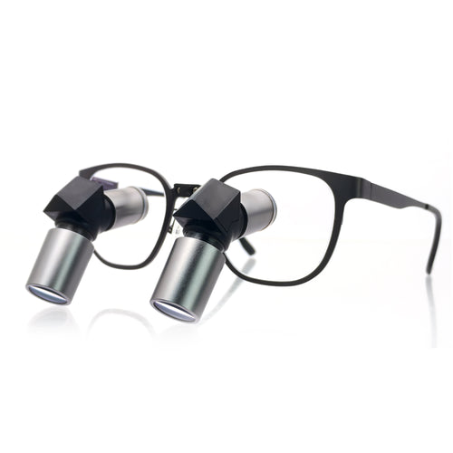 SurgiOwl ERGO-X optical system view